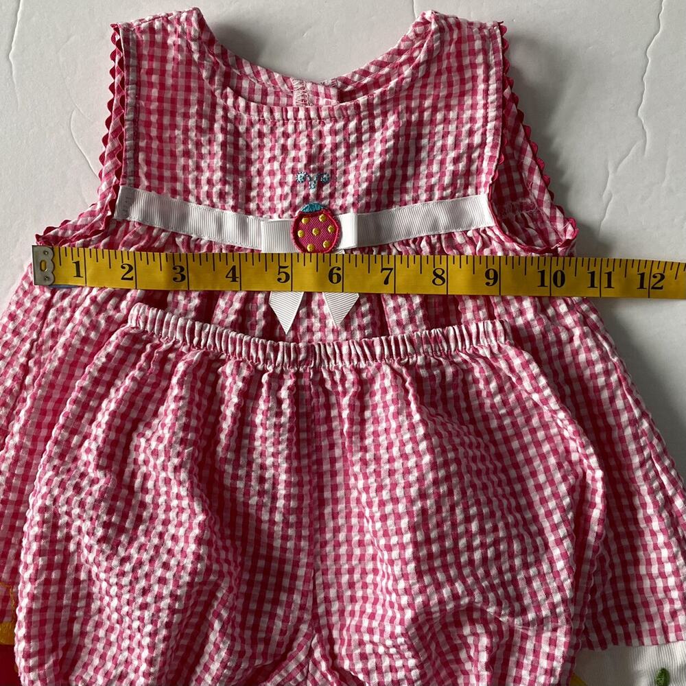 Youngland Seersucker Gingham Ladybug dress and bubble bottoms Size 12M - Picture 7 of 10